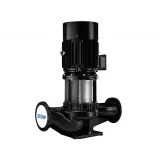 Вертикальный одноступенчатый циркуляционный насос CNP TD 65-12,5(I)/2 SWSCJ