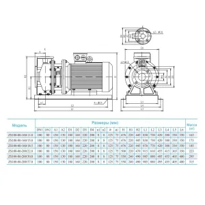 Консольно-моноблочный насос CNP ZS 100-80-160/18,5 SSC (ЦНП) Консольно-моноблочный насос CNP ZS 100-80-160/18,5 SSC (ЦНП)